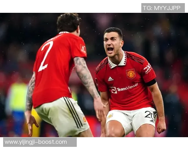 德甲激战曼联与里昂平局补时进球引发全场狂欢战术解析